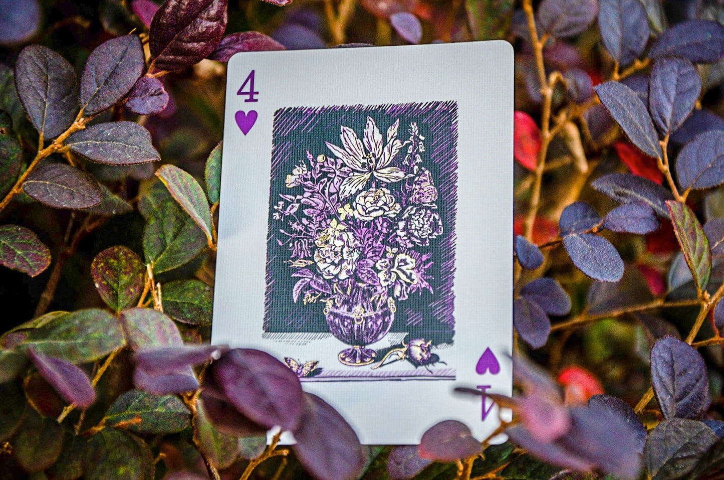 PALM'S ORACLE (with booklet)